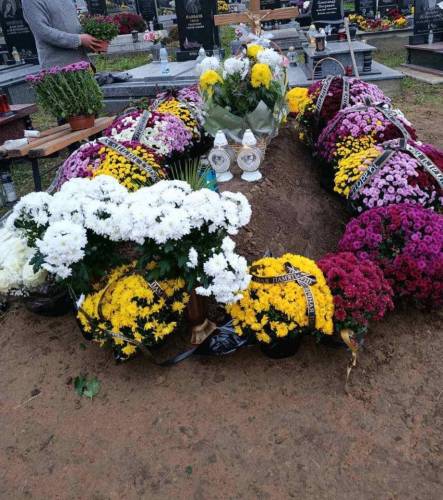 Благоустрій могил у Львові та області