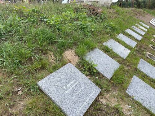 Колумбарій Львів