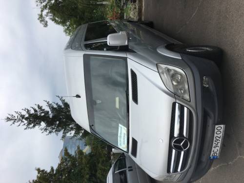 Катафалк Mercedes - сірий