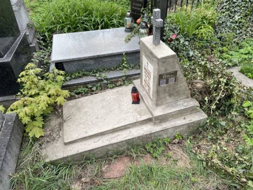 Відновлення могили (до відновлення)